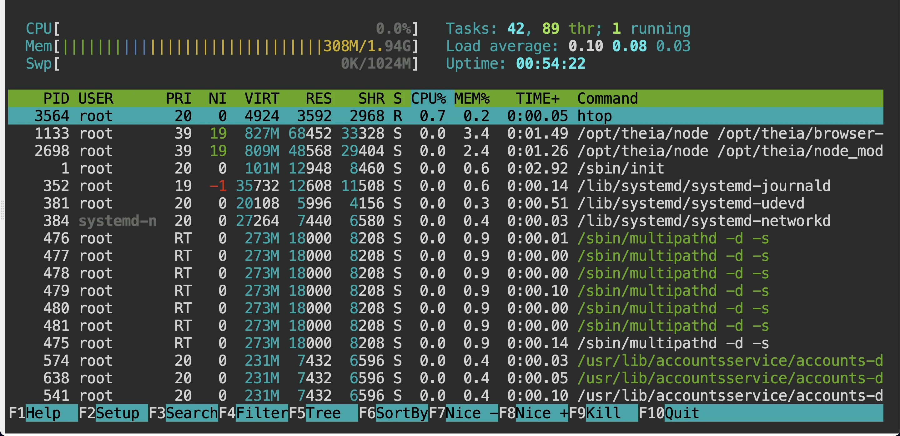 htop command output